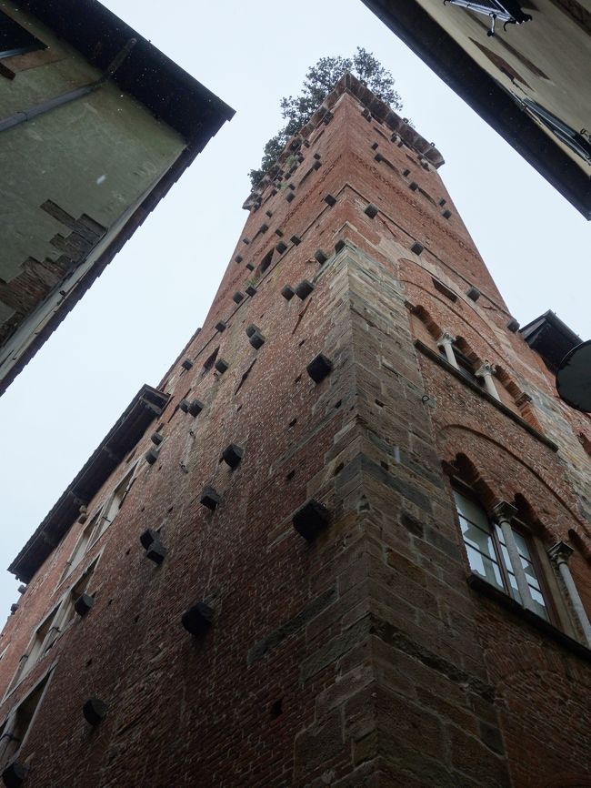 Lucca では、たくさんある塔のひとつには登りたかったのですが、あいにくの結構強い雨で、登っても景色を見れそうもなかったので、割愛しました。