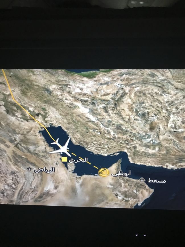 フランクフルト→アブダビ→名古屋の帰国フライトで<br />フランクフルト→アブダビ便が30分離陸が遅延。<br />アブダビでの乗継時間80分…<br />(エティハド航空同士の必要最低乗継時間は60分)<br /><br />アブダビに着陸したのは20分遅れ!<br />そんな女子一人旅の一部です。<br /><br /><br />【フライト予定】約87,000円<br />11/1 <br />EY889 NGO 21:15 → PEK 0:05 <br />11/2 <br />EY889 PEK 1:25 → AUH 6:35<br />EY007 AUH 9:15 → FRA 13:25<br />11/10<br />EY002 FRA 10:45 → AUH 20:00<br />EY888 AUH 21:20 → PEK 8:50<br />EY888 PEK 9:50 → NGO 13:45<br /><br />今回の旅で利用したエディハト航空の感想が主な内容です。