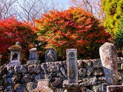 国東の紅葉 2019