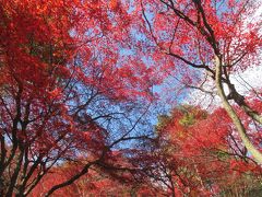 もみじ祭り最終日の大山