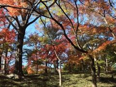 和散歩 - 百草園・高幡不動・殿ヶ谷戸庭園