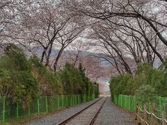 韓国まで愛媛経由で桜を追う18きっぷ旅(その3/昌原・大邱編)