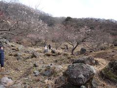 日帰り熱海でMOA美術館