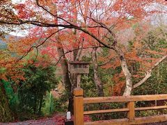 秋爛漫。京都大原三千院～八瀬～錦小路の脈絡のない一人旅。