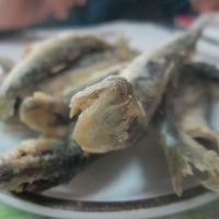 2017 Primeiro Portugal #3 Passeio pela cidade do Porto 市場で昼ごはん