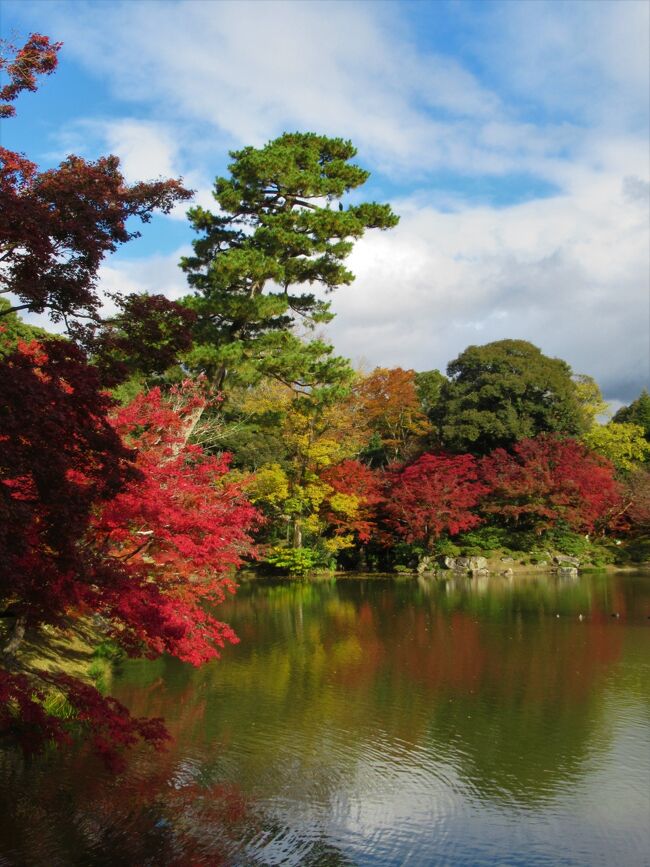 19京都の紅葉 仙洞御所 京都御所 府立植物園 今出川 北大路 北野 京都 の旅行記 ブログ By 実結樹さん フォートラベル