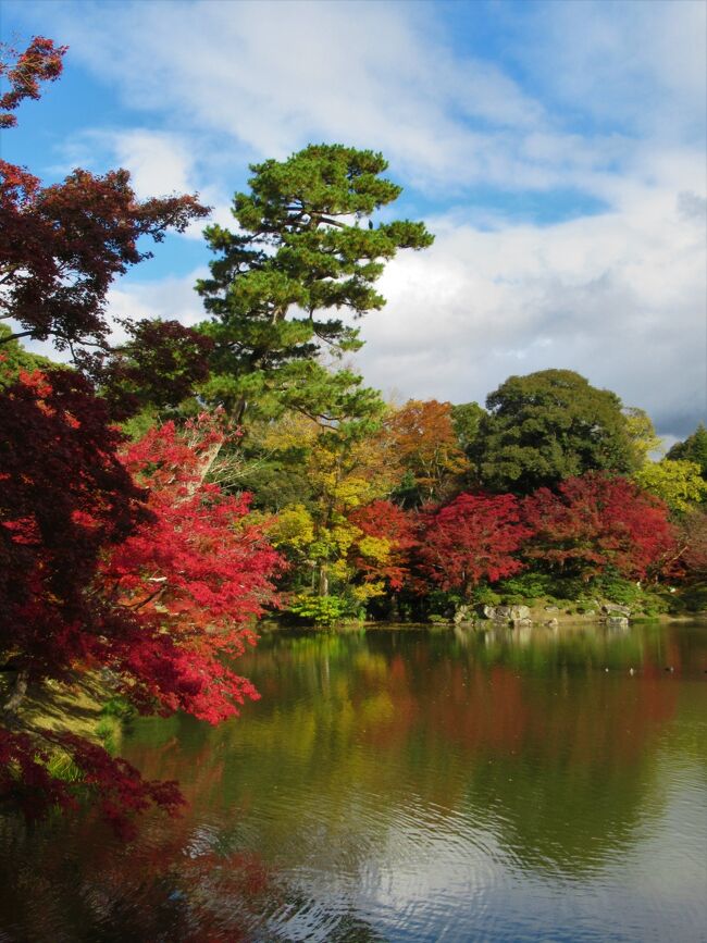 5泊6日で巡った紅葉の京都の旅です。<br />お天気にも紅葉の色付き具合にも恵まれ、美味しいものもたくさん食べて来ました。<br /><br />初日その2  11/20(水)<br />仙洞御所の紅葉の記録です。<br />仙洞御所には10年ほど前の新緑の頃にも一度来たことがあったのですが、紅葉の時季にも是非行ってみたくて3か月前に申し込みました。<br />”御所” の紅葉です。きっと素晴らしい筈です。<br />そして、やっぱり素晴らしかった！<br /><br />併せて京都御所、府立植物園の紅葉も見に行きました。<br /><br />【本日の全行程】<br />東京駅7:03新幹線ひかり号乗車　→ 9:45京都駅着　→ 御所南ブランピエールでランチ　→  仙洞御所参観　→ 京都御所参観　→ 府立植物園　→草喰なかひがし　→ 京の宿三福泊