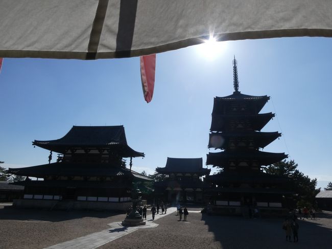 ピーカンの快晴に恵まれた11月下旬の週末、斑鳩から橿原方面に日帰りドライブに行ってきました。<br />この時期ならではの景色（紅葉や秋の花など）の写真を織り込んだプチ旅行記です。