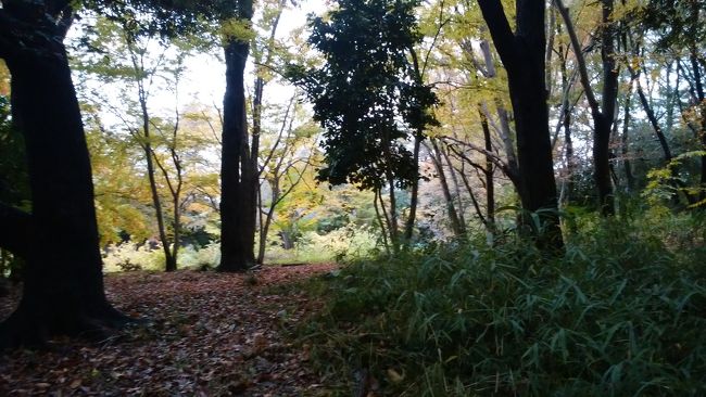 野川　秋の午後