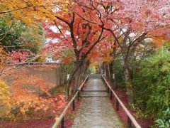 晩秋の京都①（１日目前半）☆常照寺・光悦寺・今宮神社☆光悦茶屋☆2019/11/27