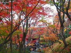 京都、嵯峨プチ紅葉狩り【常寂光寺、二尊院】