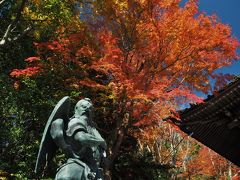 紅葉と富士山の絶景！　初めての高尾山（1号路往復）