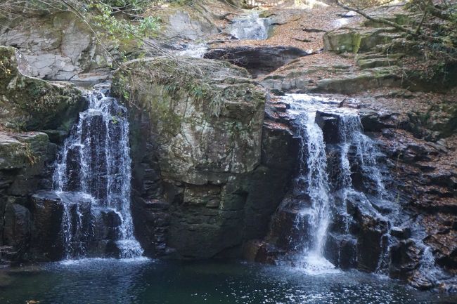 名古屋から三重県に入ると、長島から始まって、桑名、四日市、亀山・鈴鹿、津、松阪、伊勢、鳥羽、志摩と、圧倒的な存在である伊勢だけでなく、それぞれに個性的な中堅都市が連なります。「北勢」「伊賀」「中勢」「南勢」「東紀州」と五つに分かれる三重県の本線というべき「北勢」「中勢」「南勢」なんですが、ここって、例えば、長島スパーランド・なばなの里、志摩スペイン村・賢島エスパーニャクルーズや水族館なんかも鳥羽水族館・伊勢シーパラダイスほかに象徴されるように、豊かな自然を華やかに彩る観光施設のオンパレード。もしかして、これこそ、まさにインバウンドの元祖なのかもしれません。とはいえ、「伊賀」でも伊賀城や松尾芭蕉の伊賀上野だし、「東紀州」は和歌山から続く世界遺産の熊野と実は負けていない。とにかく、県全体が観光地だらけというイメージなんですよね。私はこれまで何年もかかって、そんな三重県の観光地を回ってきて、その厚みをつくづく感じてきたつもりです。しかし、今回、もう一度総点検をして浮かび上がってきたのが榊原温泉・赤目四十八滝と湯の山温泉。確かに、三重県の旅だと優先順位は落ちるのは仕方ないですが、それでもここまでのレベルがあって、もう一つの三重旅といって過言ではない。ここでもまた改めて三重県の観光資源の豊富さを感じることができたように思います。<br /><br />ちなみに、この日の榊原温泉は、万葉の時代から、お伊勢さんの湯ごりの湯として利用されてきた温泉。清少納言が枕草子で「湯はななくりの湯、有馬の湯、玉造の湯」と綴った「ななくりの湯」とはこの温泉のことです。ただ、温泉宿はもう3軒くらいしか残っていないので、温泉街などはまったくなし。駅からも遠いし、宿泊するホテルに迎えに来てもらわないとどうにもなりませんね。で、湯の質は、関東だと石和温泉に似ているかな。もわっとしてまとわりついて、つるつるっとする。そんな感じでかなり特徴的です。<br /><br />続いての赤目四十八滝は、昔大阪に住んでいる時からずっと気になっていたところ。関西では何かと名前をよく聞いていましたからね。<br />今回は満を持しての訪問でしたが、ただ、結果としてはちょっと微妙といえば微妙かな。いくつかのウリとする滝があるのですが、全国レベルで見た時には明らかに迫力に欠けますね。散策ルートが長いので、時間をかけたハイキングと思えばいいのかもしれんせんが、やっぱりそれでももう少し感動が欲しいような。滝にあまり焦点を当てず、安全で落ち着いた滝もあるハイキングコースというくらいの認識の方が実態には合っているような気もします。 