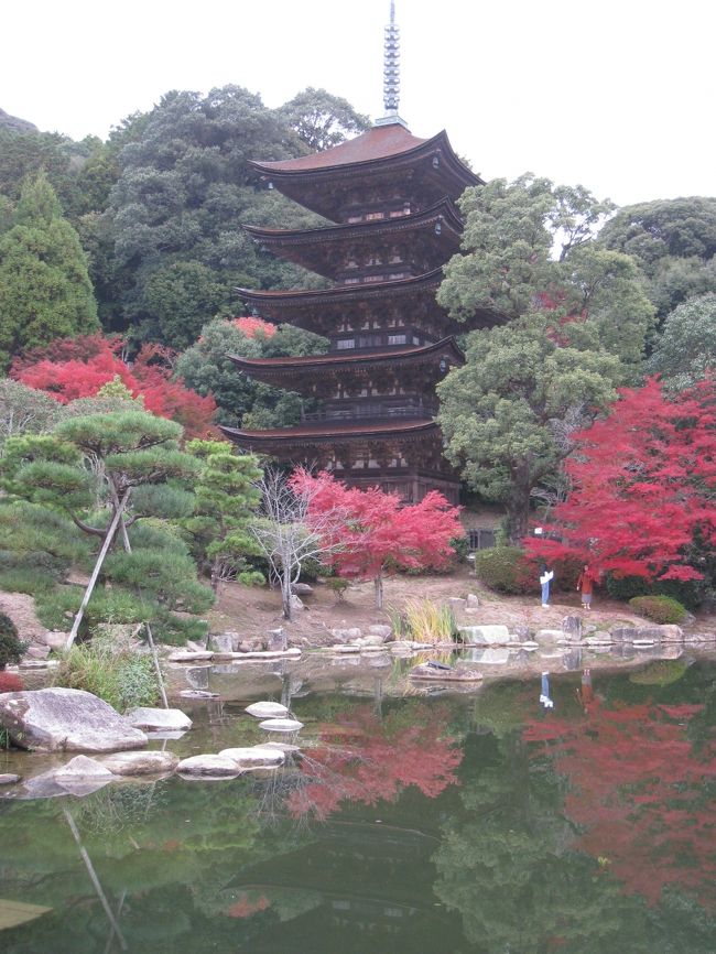 山口3日目は、防府天満宮、国分寺、毛利庭園を訪れた後、山口市内の瑠璃光寺五重塔へ。文化や歴史を感じる1日でした。
