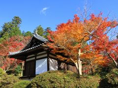 観心寺の紅葉