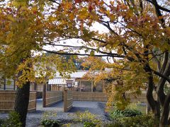 2019　紅葉散歩（皇居・乾通り一般公開と大嘗宮一般参観、そしてちょこっと桜も）