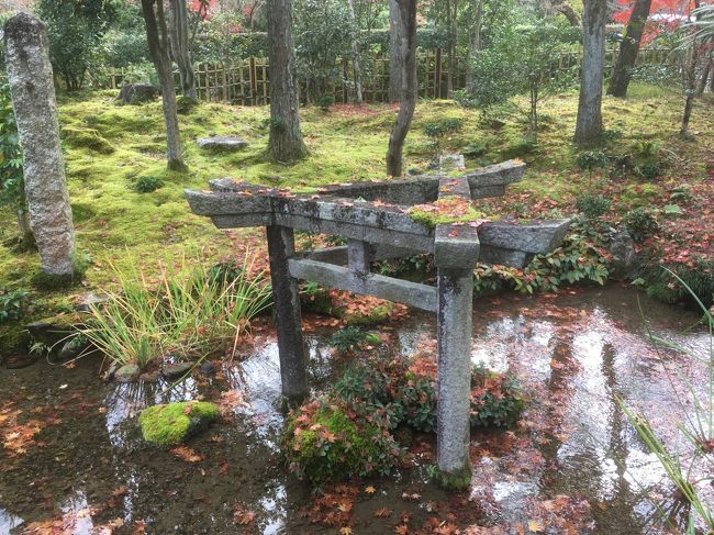 京都のバスは車内も道も混んでてたるい。紅葉が残ってないか、電車で嵐山と南禅寺をささっと、そして今年から崇仁新町に移った伏見SAKEZO&#39;S BARのちょい飲みもチェック。