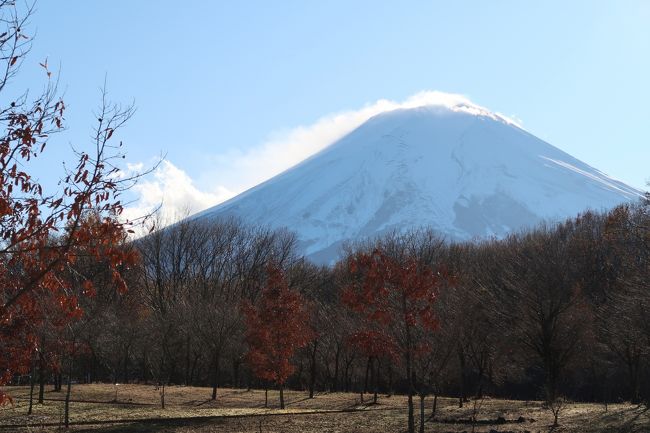 富士散策公園に立ち寄りましたが、14：00以降になり<br />太陽が真上から照らすので、富士山が綺麗に撮れなく<br />また、頂上付近に雲がかかり、がっかりな写真しか<br />撮れませんでした。<br />また次回挑戦します。