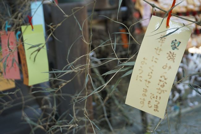 本格的な夏が始まる越後地方を散策してきました。<br />画像は、金峯神社にてです。<br /><br />過去の「長岡」な旅行記。<br /><br />関西散歩記~2019 京都・長岡京市編~「JR長岡京駅」<br />https://4travel.jp/travelogue/11494893<br /><br />関西散歩記~2015 滋賀・米原市編~「JR近江長岡駅」<br />https://4travel.jp/travelogue/10980717<br /><br />関西散歩記~2014 京都・長岡京市編~「JR長岡京駅」<br />https://4travel.jp/travelogue/10890724<br /><br />滋賀旅行記~2012 米原市編~「JR近江長岡駅」<br />https://4travel.jp/travelogue/10720648