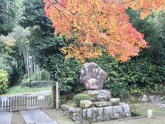 2019関西の旅　西ノ京