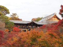 2019秋 関西の紅葉狩り：その４ 伏見稲荷～東福寺