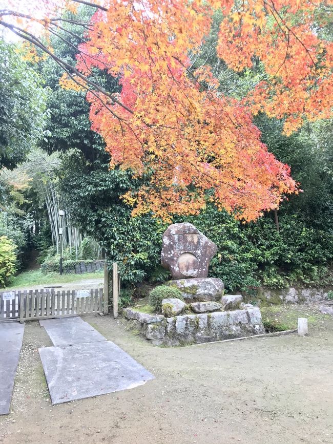 2019関西の旅　西ノ京