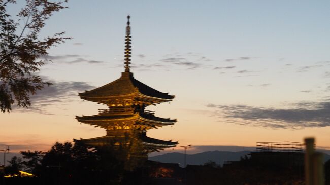 2泊3日の京都紅葉旅行最終日。山科と伏見へ行き、その後時間が余ったのでもう一か所へ。その場所、清水寺で予想以上の紅葉に遭遇し、その後、高台寺のライトアップへ。<br />※高台寺のライトアップは12月15日（日）までーー。<br /><br />【スケジュール】<br />1日目：<br />羽田空港ー伊丹空港ー四条烏丸<br />永観堂、南禅寺、哲学の道、銀閣寺、夜は永観堂のライトアップへ<br />https://4travel.jp/travelogue/11573073<br /><br />2日目：<br />東福寺ー龍吟庵ー光明院ー平等院ー二条城ー京都国立近代美術館<br />https://4travel.jp/travelogue/11573082<br /><br />【当初の予定】<br />3日目：<br />山科・毘沙門堂ー醍醐寺ー高台寺のライトアップへ<br />京都駅ー帰宅