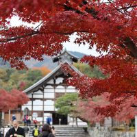 ブララブコー  「京都の紅葉を狩り尽くせ！～mission2 嵐山エリアはサクッと攻略せよ！！嵐山編～」
