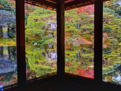 滋賀の紅葉の穴場『旧竹林院』＆明智光秀ゆかりの『西教寺』へ・・・