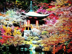 京・紅葉の旅 ③醍醐寺編 