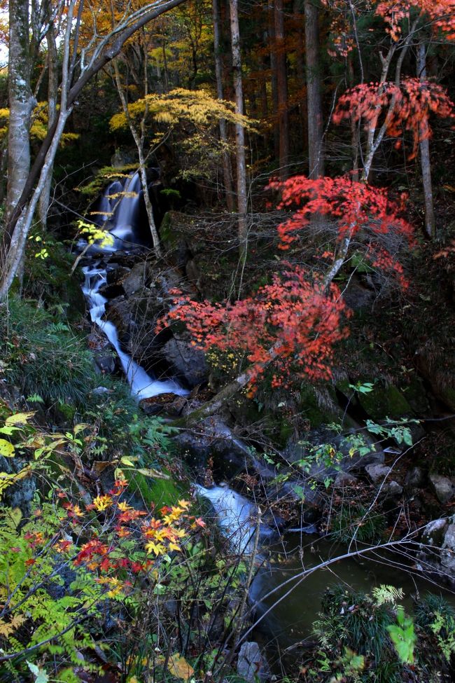 ◆みちのく最南端の紅葉・滝川渓谷 、２０１9・Part３＆湯岐雷滝<br /><br />☆１１/１９（火）<br /><br />☆毎年恒例の“みちのく最南端の矢祭町”にある滝川渓谷に見納めの紅葉を見に行ってきました。<br />Part２では渓谷で一番のお気に入りである〝桂木の滝“を中心にご覧いただきましたが<br />Part３ではさらに上流で滝川渓谷最頂部の滝である〝銚子の口の滝“や<br />滝川渓谷から車で２０分ほど、矢祭町の北隣り塙町の湯岐雷滝(ゆじまた・かみなりたき)を紹介します。<br />この辺りは地理的には福島県最南端で紅葉も遅い方がですが<br />福島県最後の紅葉は最南端より、標高が低く沿岸部にあるので暖かいいわき市の紅葉です。<br />昨年はそのみちのく最後の紅葉である〝いわき龍神峡“でまさに最後の紅葉を愛でましたが<br />今年は行く予定がないので滝川渓谷と湯岐雷滝の紅葉が最後の見納めです。<br />