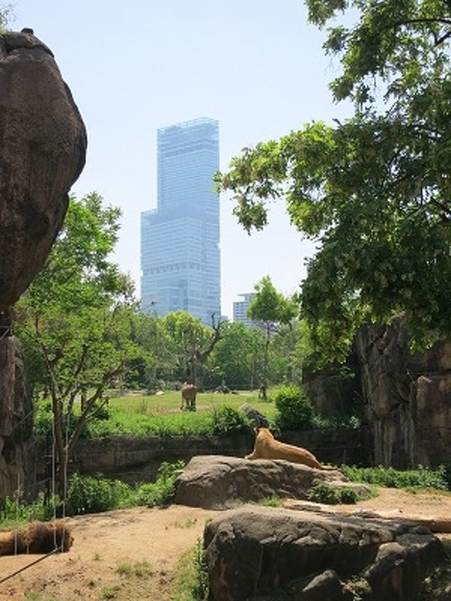 天王寺動物園とその界隈