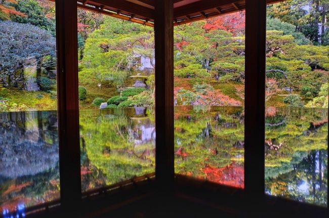 滋賀の紅葉の穴場『旧竹林院』＆明智光秀ゆかりの『西教寺』へ