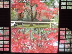 晩秋の京都②（１日目後半）☆大徳寺塔頭 総見院、興臨院、黄梅院☆松前屋・イノダコーヒ本店☆京富庵☆2019/11/27