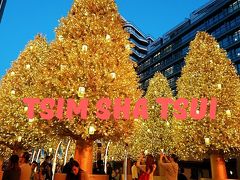 香港★今年オープンした大型施設でクリスマス気分と夜景を楽しむ　～K11 Musea・星光大道～