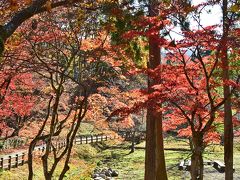 2019紅葉　湖北の鶏足寺・石道寺・意冨布良神社の紅葉（9）