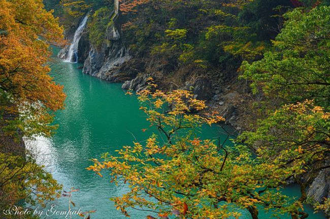 床モミジの宝徳寺に１時間ほど滞在したあと、わたらせ渓谷鉄道沿いの国道１２２号を北上し、日光に抜けるドライブを楽しんできた。所々に撮影ポイントがあるので、寄り道しながらののんびりドライブである。さすがに山間の紅葉はピークを過ぎていたが、遠目にはまだ晩秋の風情が残っていた。