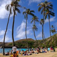 ハワイ旅行記2019　9月5日　ハナウマ湾で海水浴編