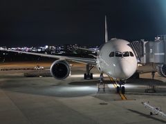 専用入口から・・・伊丹空港ダイヤモンドプレミアラウンジ、国内線B788のファーストクラス。