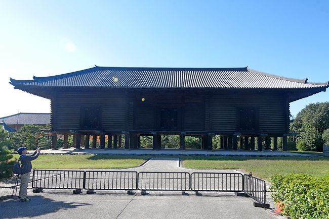 1253 正倉院に向かう.外構まで特別公開だ.正倉院を久しぶりに外観を見る.大きな蔵だ.ここが天平の至宝が現在まで伝えることが可能となっ当た建物だ.8世紀の日本が唐から西域を通り,ギリシャローマ(この時代はすでにイスラムのウマイヤ朝やフランク王国の時代だが)までつながっていたことがすごいよね.次に戒壇堂へ.ここの四天王像,特に広目天像をまた見たくなった.高校生のころ初めて見たころの感動を忘れない.<br />昼食はムッシュペペのビーフシチューランチセットに.御馳走スープセット2380円税込み ビーフシチュー パン ドリンク オードブル 6種盛り合わせ デザート付き ドリンクは赤のグラスワインにした ハウスワインでミディアムだったがまあまあ その前にビール650円.併せて3030円.ほろ酔い気分で興福寺国宝館に 八部衆と十大弟子の脱乾漆像,山田寺の仏塔などを拝観.もう何回見たろうねえ.これも最初の小学校のころ見学したのを忘れない.<br />東金堂を久しぶりに訪れ,日光月光菩薩と四天王,十二神将を見学<br />2日で44000歩歩いた.さすがに疲れて,1603の近鉄快速急行で難波に,空港リムジンバスで1735に伊丹空港.ラウンジで一仕事して,2020発NH40便で帰京した.気ままな一人旅だったが,まあよく歩いたね.ちょっと足が痛くなった.いい1泊2日だった