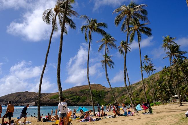 ハワイ旅行記2019　9月5日　ハナウマ湾で海水浴編