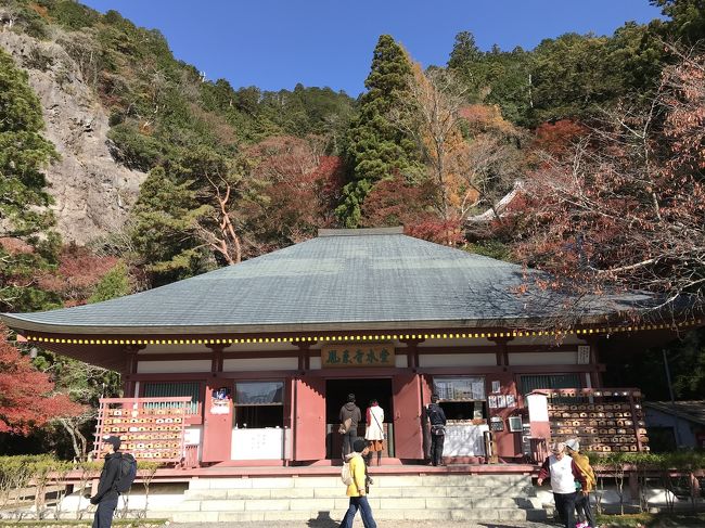 愛知県の山・紅葉の鳳来寺山：鳳来寺～湯谷温泉の東海自然歩道を歩く②（紅葉と温泉、長篠城址の紅葉）