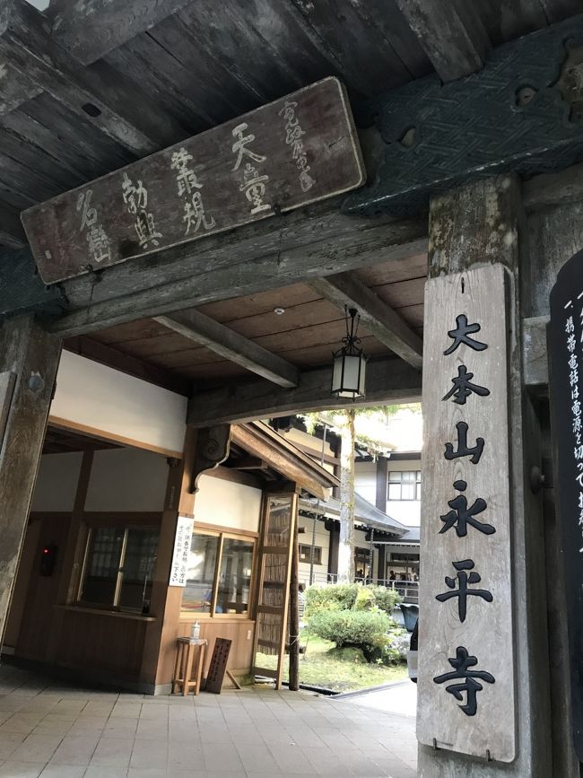 表紙の写真・永平寺・・先日、NHKの再放送で永平寺の雲水さんの厳しさを目の当たりして、その真摯な姿に目が潤みました。<br /><br />丁度、永平寺に訪れたばかりでしたので見入ったのですが、観光客がいない冬の厳しい映像は凛とした空気が伝わってきて、私が訪問した同じ場所とは思えませんでした。雲水修行の厳しさに耐える心根って、いつ芽生えるのでしょうか?凄いですね。<br /><br />何十年ぶりシリーズ編(^^)山代温泉は行った事がありますが、芦原温泉は未踏なので温泉地は芦原に決定。<br />その後は特に決めていませんでしたが、私は東尋坊に行ったことが無いので、朝の天気次第で行こうとなり、次は昨日は色々と立ち寄って時間オーバーで行けなかった夫の希望地・永平寺へ。。<br /><br />其の後は一乗谷朝倉氏跡にと計画したのですが途中で変更。。<br />といいますのは、朝は温泉に浸かって運転の疲れを取らせてあげたくて、ゆっくりの出発と永平寺が見ごたえありで、本日も時間オーバーになりまして、敦賀で海鮮丼が食べれない可能性が濃くなり中止しました。<br /><br />「東尋坊」越前加賀海岸国定公園・安山岩。<br />地名の由来は今から千年以上前の平安時代に、この地から東へ約50キロ離れた平泉寺というお寺にいたお坊さんに名前に由来するそうです。<br />この後のいわれが書いてありますが凄いのです・・(パンフレットより)<br /><br /><br />「永平寺」曹洞宗大本山。<br />寛永2年(1244)に道元禅師によって開かれた座禅修行の道場です。<br />四方を山に囲まれた地に大小70余りの建物が並んでいます。<br />道元禅師は正治2(1200)に京都に生まれ、14歳の時に比叡山にて出家、24歳の春中国に渡り、天童山如浄禅師のもと厳しい修行に励まれ「正伝の仏法」を受け継がれ、28歳の夏に帰国。<br />その後、永平寺を開かれた(パンフレットより)<br /><br />「七堂伽藍」寺院の建物を「伽藍」と呼びます。<br />伽藍には僧侶が修行をする清浄な場所という意味があり、禅宗寺院では特に主要な伽藍として「法堂」「仏殿」「僧堂」「庫院」「山門」「東司」「浴室」を指して「七堂伽藍」と呼びます。<br />中でも「僧堂」「東司」「浴室」は「三黙道場」といわれ、修行をする上で大切な場所とされます(パンフレットより)