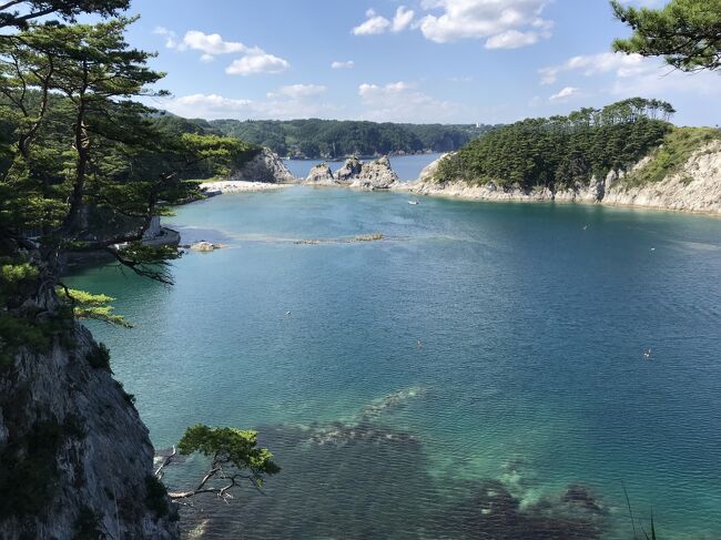 おととし五所川原の立佞武多の館を訪れて以来、出陣式が見たいといい続けている我が家の末っ子。そんなわけで夏休みは東北へ。宿の確保が難しく立佞武多は逃しましたが、竿燈まつり、ねぶたの海上運行と見学しました。趣のある温泉宿の多い東北、以前から泊まってみたかった温泉巡りもできました。<br /><br />８/　１　深夜、フェリーで八戸へ<br />８/　２　龍泉洞、浄土ヶ浜、鉛温泉<br />８/　３　牛の博物館、毛越寺、山寺、銀山温泉<br />８/　４　即身仏、十六羅漢岩、竿燈まつり<br />８/　５　角館、小岩井農場、藤七温泉<br />８/　６　八幡平、乳頭温泉<br />８/　７　尾去沢鉱山、ねぶた海上運行<br />８/　８　帰宅