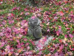 晩秋の京都④（２日目後半）☆赤山禅院・鷺森神社・圓光寺☆大極殿本舗 六角店☆京料理 貴与次郎☆2019/11/28