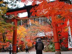 2019秋の紅葉散策①～京都亀岡･鍬山神社