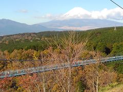 三島スカイウォーク