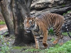 ぐるっとパスでお得に上野のミュージアム巡り