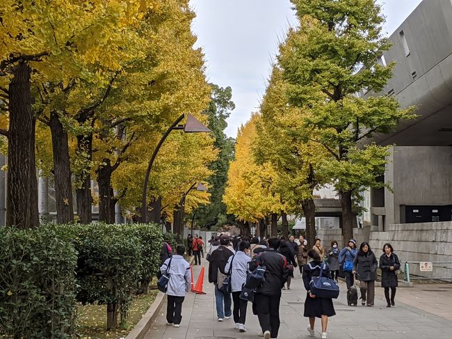 久々に東京に出掛ける用事があり、それではと紅葉を見て回り、さらには美術館巡り!退職者は時間があり、フットワークは軽いので。東急本店の渋谷文化村では“リヒテンシュタイン侯国の至宝”、上野西洋美術館では“ハプスブルク展”、東京都美術館で“コートールド展”、上野の森美術館“ゴッホ展”など目白押し!修学旅行生や高齢者などが沢山、紅葉した木々をバックに写真撮影していました!本格的な冬に入る前のいまがチャンス。私はまず行くことが出来ないリヒテンシュタイン展、以前休館で入れなかったコートールド展を鑑賞。その後、欲張りに横浜のベイクォーターを散策し、大満足!ちょっと疲れましたが(笑)紅葉と美術館巡りのミニトリップはどうですか?