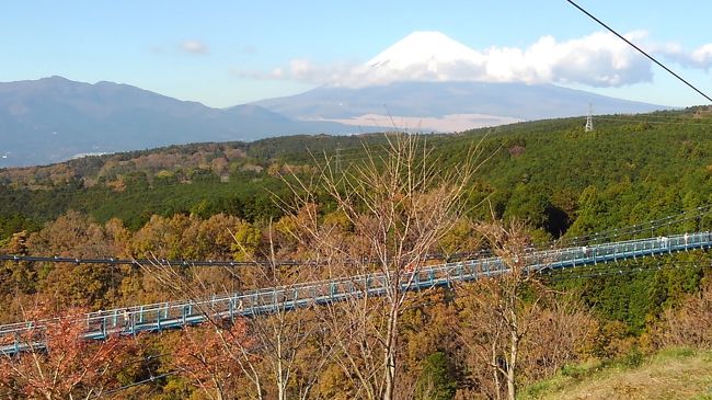 箱根の湯ノ花温泉に車で向かうが<br />プリンスホテルは台風の影響で<br />閉館改修工事で利用出来ず、諦めて<br />三島のスカイウォークを初めて行った。<br />橋からの富士山を見る事を楽しみでしたが<br />富士山は想像より小さく遠くに見え<br />写真にするとより小さくなってしまった。